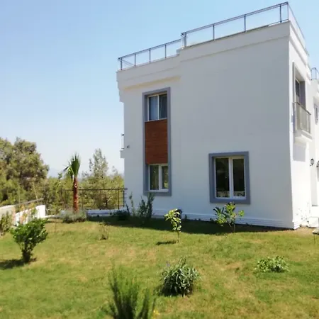 Treetop Adabuku Lejlighed Bogazici