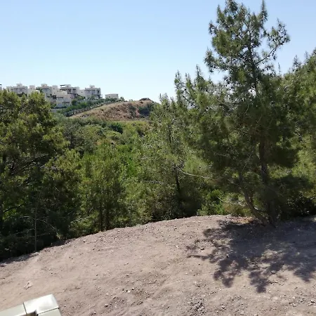 Lejlighed Treetop Adabuku *